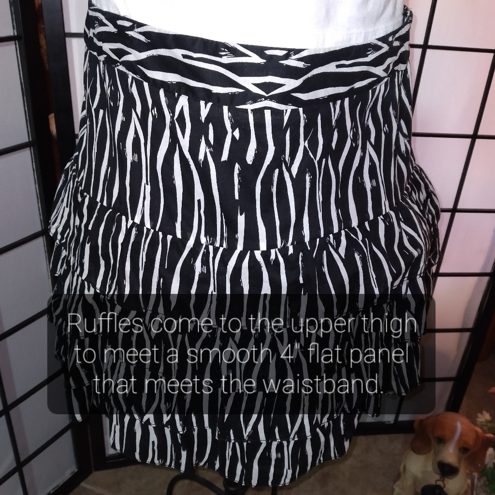 27A. Ann Taylor LOFT Ruffled Cotton Skirt - Picture 7 of 14